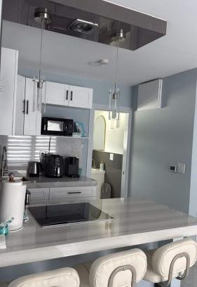 West Palm Beach Apartment | Olive Studio Apart Unit 3 By Pmi