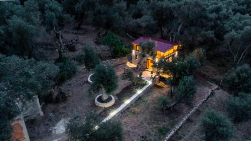 Ulcinj Apartment | Olive Treasure