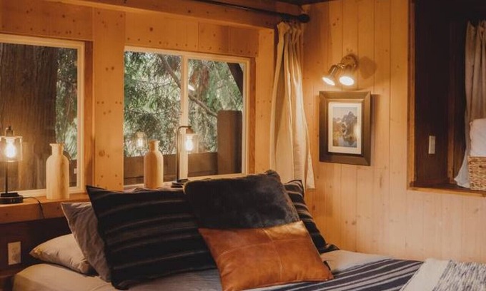 Port Angeles Cabin | Olympic Holiday TreeHaus