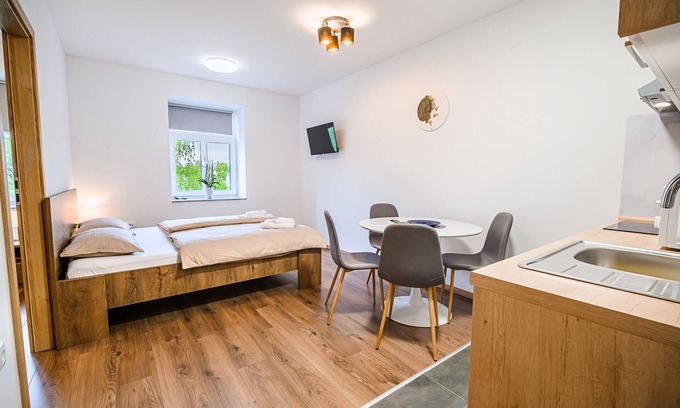 Brezice Apartment | One Bedroom Apartment 6