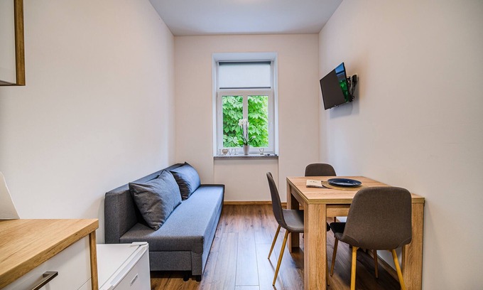 Brezice Apartment | One Bedroom Apt With Sofa Bed 2