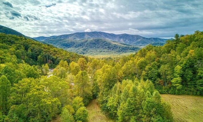 Cosby Cottage | Open Sky Retreat, Pickleball Court, Creek, WIFI, Mountain Views, Starting at $79
