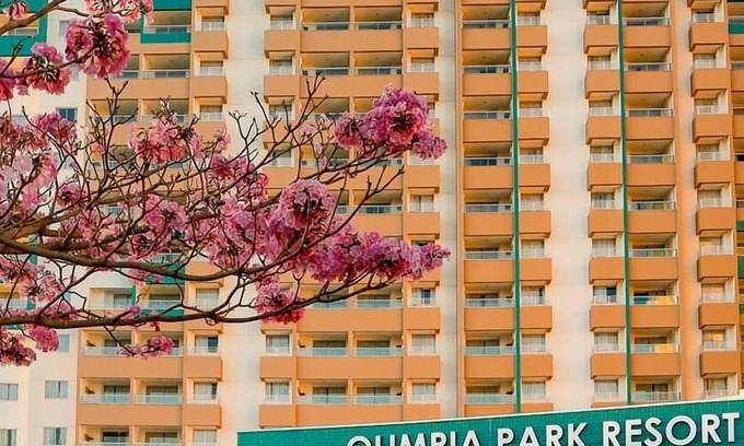 Olimpia Resort | OPR - Olímpia Park Resort - Sleeps up to 8 people
