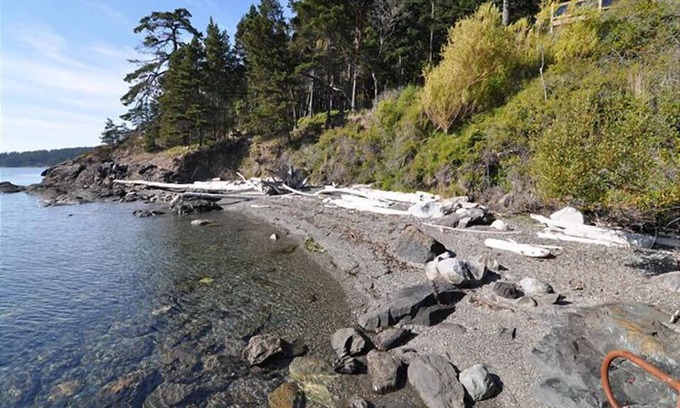 Olga House | Orcas Island, Deer Point Paradise #234