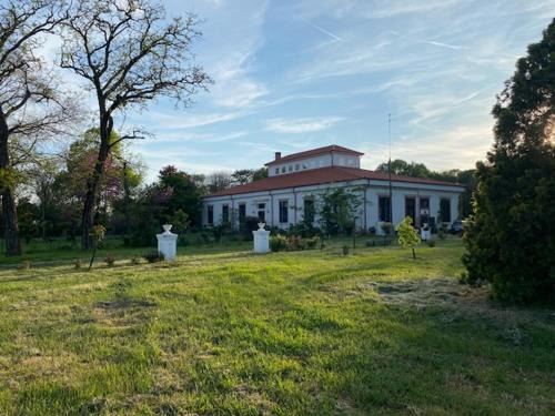 Kengyel House | Orsolya major