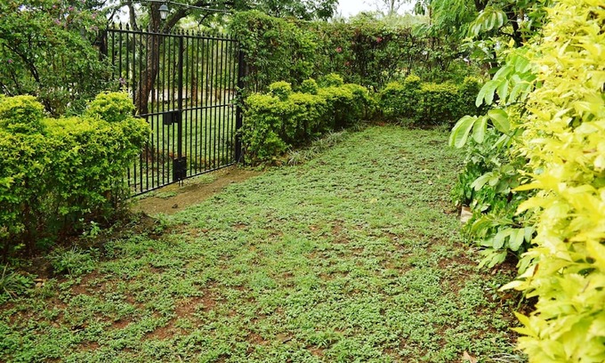 Kisumu Hotel | Ose Cottages