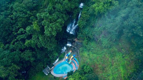 Todupulai Resort | Oxygen Rainforest Resort