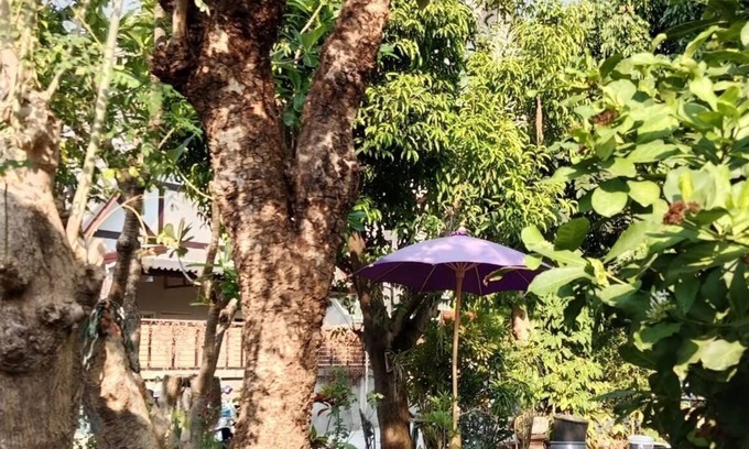 Chiang Mai Hotel | P.S. Place