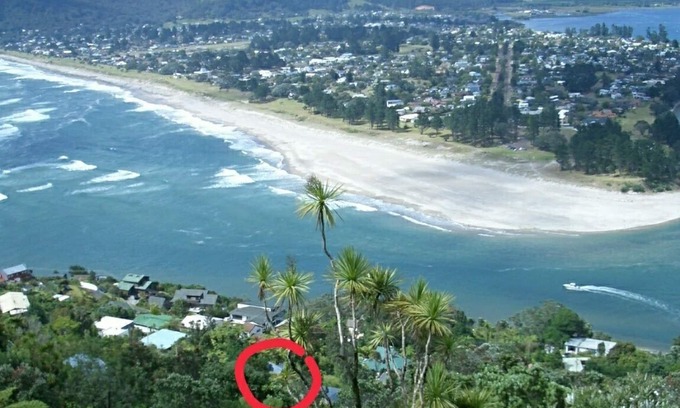 Coromandel Forest Park Cottage | Paku Escape - Tairua Bach