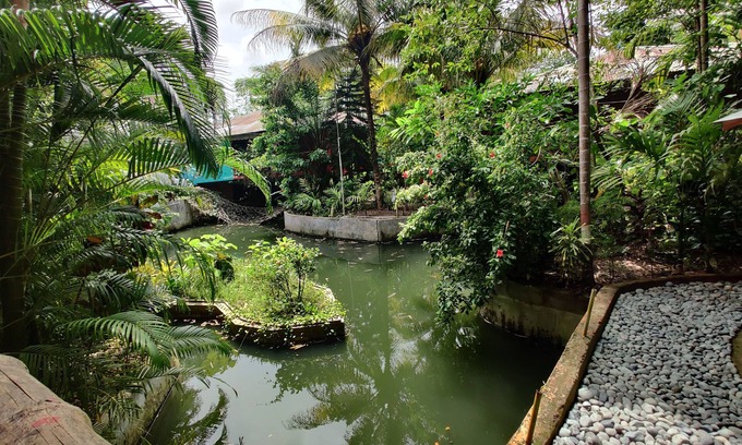 Port Blair Hotel | Palm Grove Eco Resort