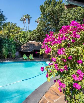 Selborne House | Palm Tree Manor