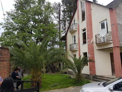 Ureki House | Palm trees