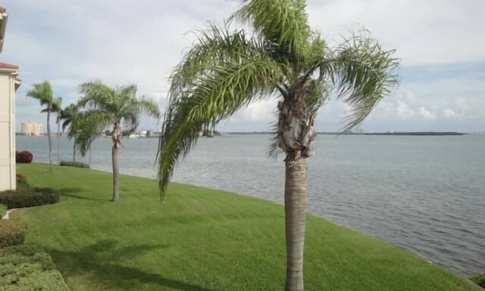 Palma del Mar Condo | Palma Get Away from It All.'Stay Salty'