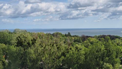 Kamienny Potok Apartment | Panorama