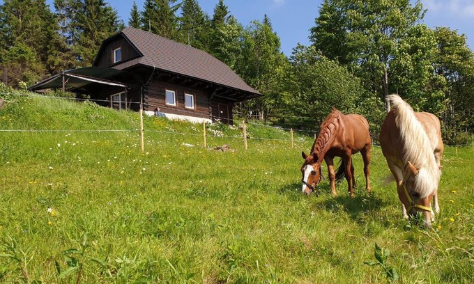 Korna Ski Chalet | PANORAMA RANČ