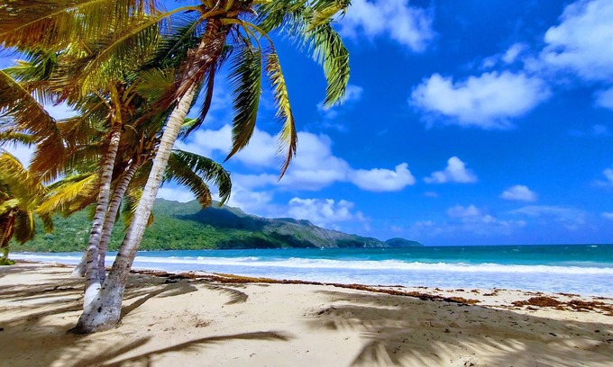 Las Terrenas Villa | Paradise by the Sea,Playa Coson,Villa with Pool and Bungalow,9,NEW LIST DISCOUNT