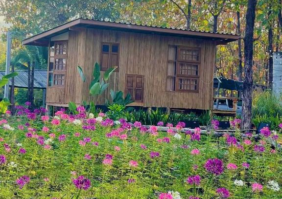 Nam Pat Other | Payim farm พายิ้มฟาร์ม