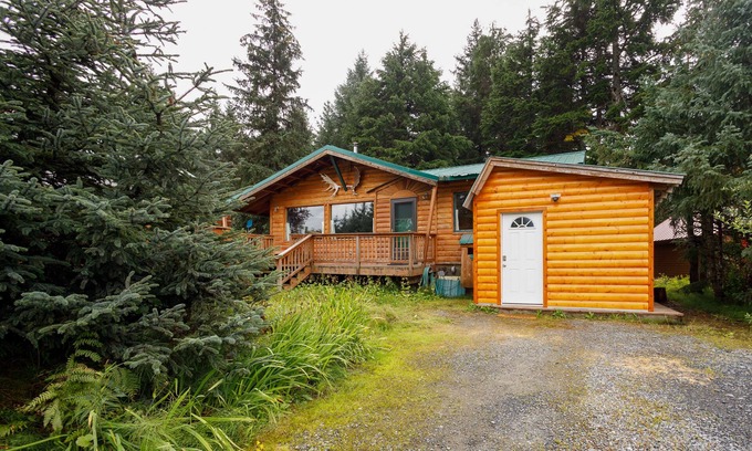 Alyeska Cabin | Peaceful dog-friendly cabin with hot tub, woodstove, W/D & WiFi - mountain views