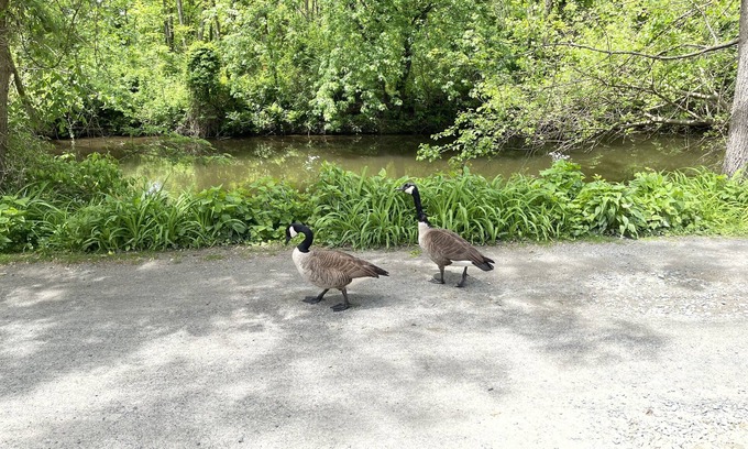 Lambertville House | Peaceful home on the NJ Delaware canal tow path, blocks away to town.