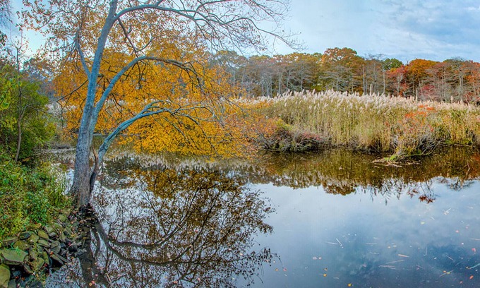 East Patchogue House | Peaceful Relaxation in a Quiet Neighborhood in the Heart of Long Island