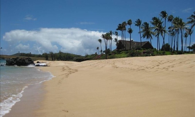 Maunaloa Condo | Peaceful retreat, ocean view, desired 2nd floor, WIFI