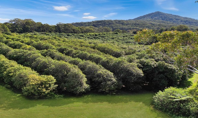 Valla House | Peaceful retreat with scenic views and serenity