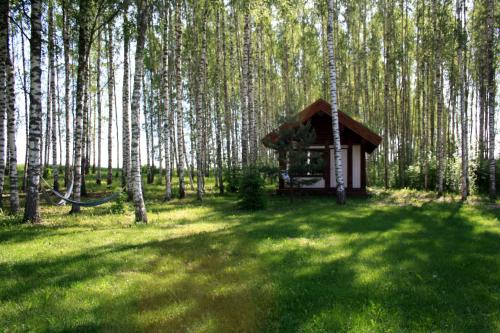 Polva County Other | Pedaja Puhketalu