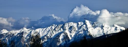 Pemberton Apartment | Pemberton Valley 1 bedroom suite