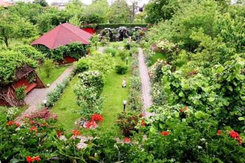Timisoara House | Pension Delia Gardens