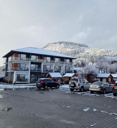 Toplita Hotel | Pensiunea Anadis