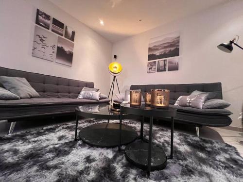 Hohegeiß Apartment | Penthouse - Panorama Suite - Hohegeiß