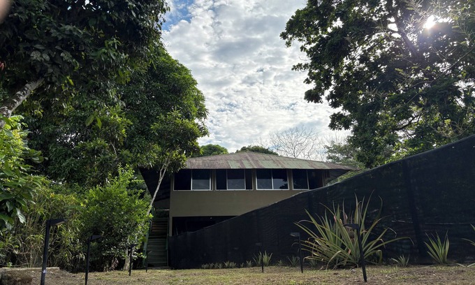 Puerto Jimenez Apartment | Peregrine Nest, surrounded by nature & steps away from the beach.