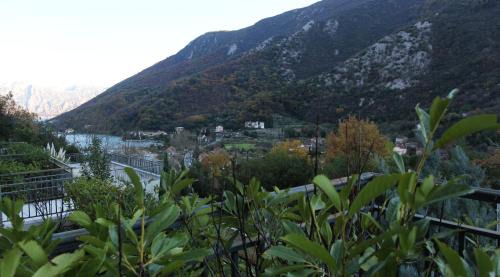 Donji Morinj Apartment | Perfect 1 BR apartment in Lavander bay E2.2