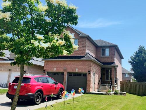 Hurontario Apartment | Perfect location comfort private house lower level 2 bedroom unit