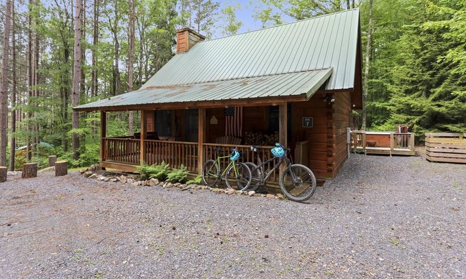 Davis Cabin | Perfect location for a Canaan Valley vacation! Welcome to Red Squirrel Pines!