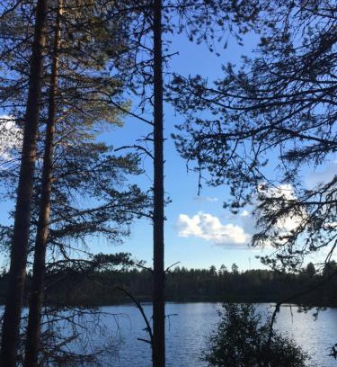 Kuusamo Ski Chalet | Petäjälammen Turistimajat