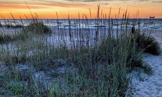 Fernandina Beach Condo | Pet-Friendly End Unit – 2BR Townhome 3-Min Walk to Beach Tennis-Quiet Spot