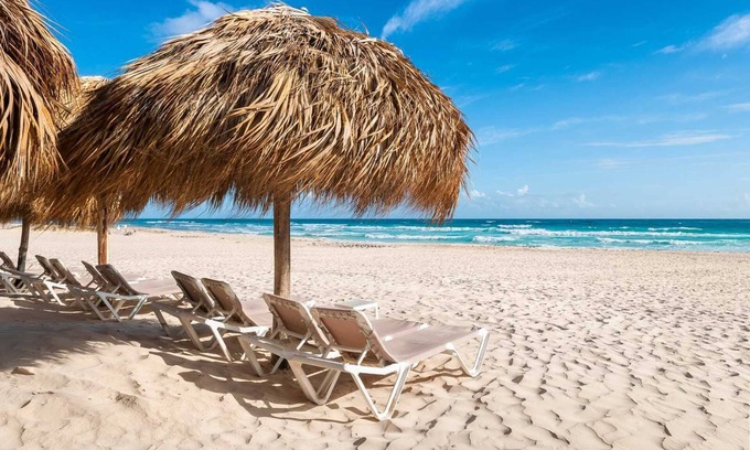 Bavaro Hotel | Pet-friendly Resort, Caribbean Diamond King! Hard Rock Punta Cana | 4 Units