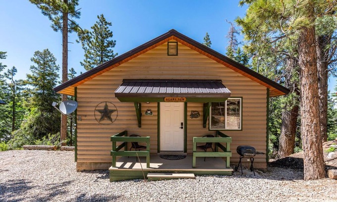 Duck Creek Village Cabin | Pet-Friendly Cabin Retreat: Cozy 2BR Bear Cabin Getaway in Duck Creek Village