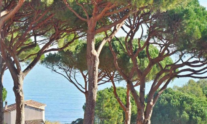 La Nartelle Apartment | Pierre et Vacances n° 14