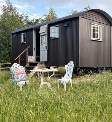 Castle Donington Other | PIGLET adult only shepherds hut