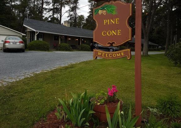 Penobsquis Hotel | Pinecone Motel