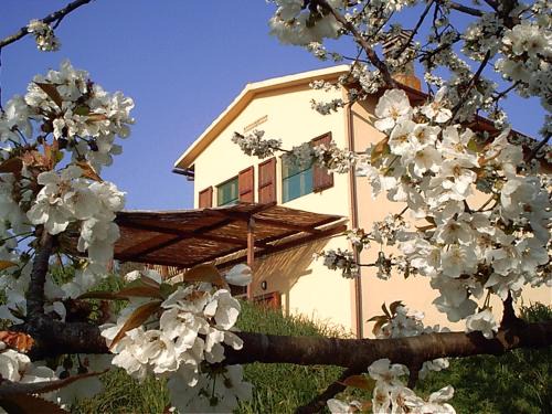 Montopoli in Val d'Arno Apartment | Podere Mazzana
