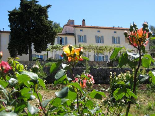 Massa Marittima House | Podere Riparbella