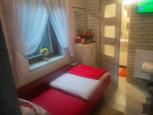 Gniezno Bed & Breakfast | Pokój dla jednej osoby z łazienką