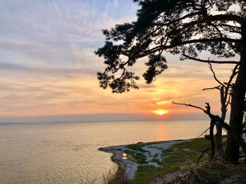 Pierwoszyno Other | Pokoje - Camping na Klifie Village - Hel Helska 11