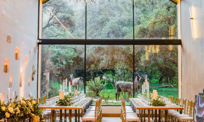 El Angel Cabin | Polylepis Lodge