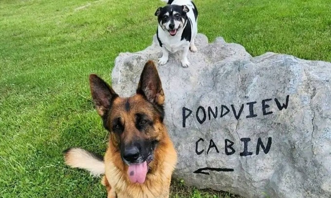 Lewisburg Cabin | Pond View Cabin in Wild Wonderful WV