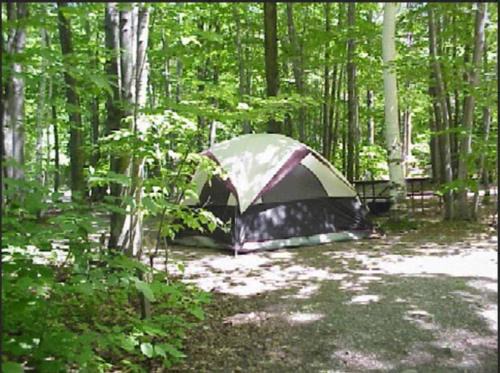 Wellsboro House | Primitive Camp Sites