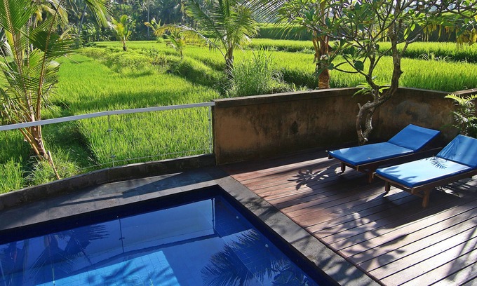 Pejeng Kawan Villa | Private 1 Bedroom Ricefields View Villa Ubud